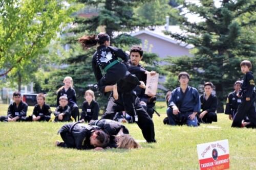 Edmonton Taegeuk Taekwondo